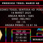STD 14 MARIO