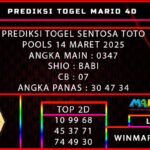 STT 14 MARIO