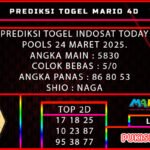 idt mario