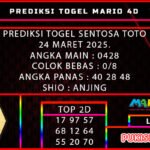 stt mario