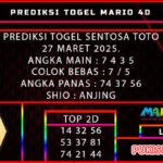 stt mario