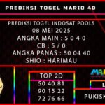 6 idt