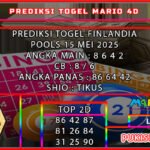 FIN MARIO