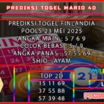 FIN MARIO