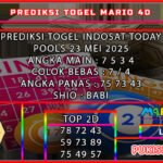 IDT MARIO