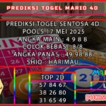 ST4D MARIO