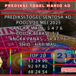 ST4D MARIO