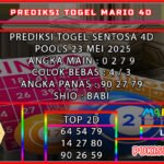 ST4D MARIO