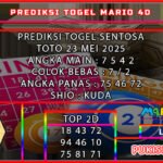 STT MARIO