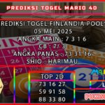 fin mario