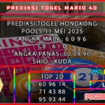 hk mario