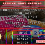 hk mario