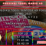 st4d mario