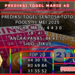 stt mario