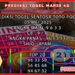 stt mario