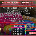 trav mario