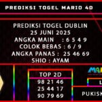 PREDIKSI TOGEL DUBLIN 25 JUNI 2025 ANGKA MAIN : 6 5 4 9 COLOK BEBAS : 6 / 9 ANGKA PANAS : 25 46 69 SHIO : Ayam TOP 2D 98 21 46 25 44 17 90 79 69