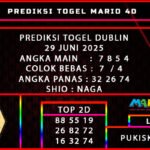 PREDIKSI TOGEL DUBLIN 29 JUNI 2025