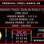 DUBLIN mario