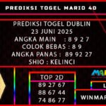 DUBLIN mario