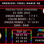 PREDIKSI TOGEL HONGKONG 22 JUNI 2025