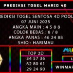 SENTOSA 4D mario