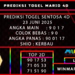 SENTOSA 4D mario