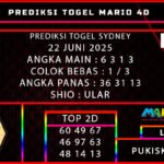 PREDIKSI TOGEL SYDNEY 22 JUNI 2025