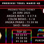 PREDIKSI TOGEL SYDNEY 24 JUNI 2025