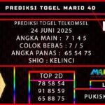 PREDIKSI TOGEL TELKOMSEL 24 JUNI 2025