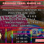 st4d mario