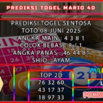 stt mario