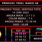 PREDIKSI TOGEL SENTOSA TOTO 14 JUNI 2025