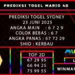 syd mario
