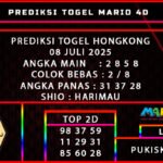 PREDIKSI TOGEL HONGKONG 08 JULI 2025