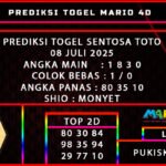 PREDIKSI TOGEL SENTOSA TOTO 08 JULI 2025